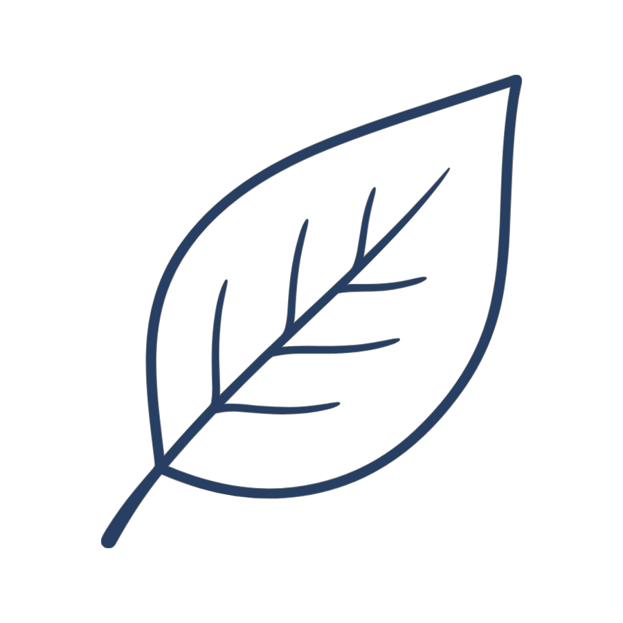 Leaf icon