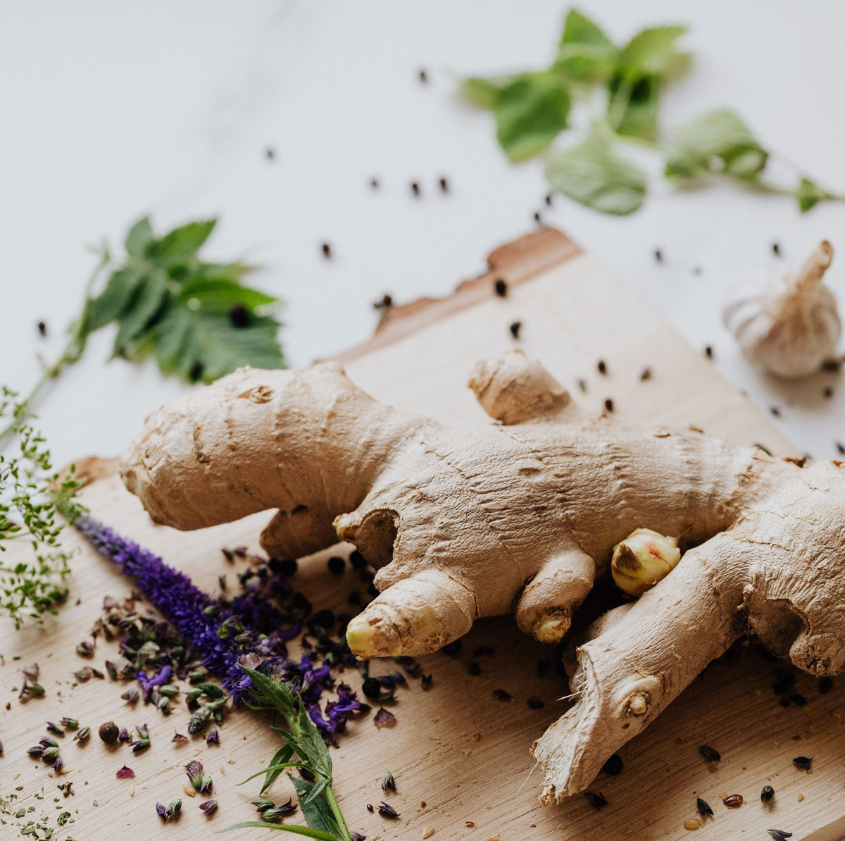 sailwell-ginger-root